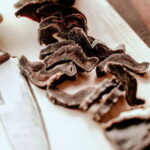 Alta: Sleigh Ride in the Arctic Countryside - How the Alta Sleigh Ride Connects You to the Arctic Landscape