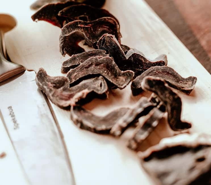 Alta: Sleigh Ride in the Arctic Countryside - How the Alta Sleigh Ride Connects You to the Arctic Landscape