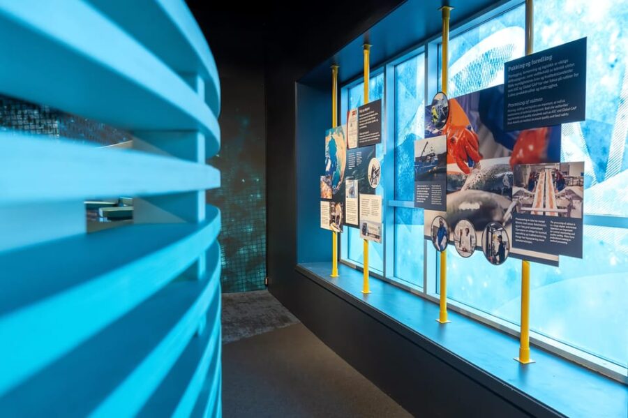 Alta's most iconic sights. Day tour. - Visiting the UNESCO World Heritage Rock Carvings at Alta Museum