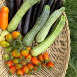 Amalfi Coast: Mozzarella, Pasta and Tiramisù Cooking Class - Crafting Fresh Pasta with Local Ingredients