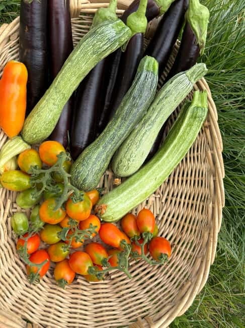 Amalfi Coast: Mozzarella, Pasta and Tiramisù Cooking Class - Crafting Fresh Pasta with Local Ingredients