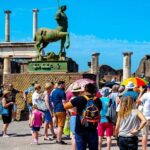 Amalfi Coast to Naples Transfer and 2-Hour Pompeii Private Tour - The Experience Provider: Askos Tours