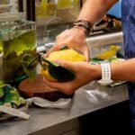 Amalfi: Limoncello Factory Visit with Instructor and Tasting - Meet Vittorio: The Passionate Guide of Amalfi’s Limoncello