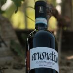 Amarone 2005 Wine Experience - Starting Point and Tour Logistics in Verona