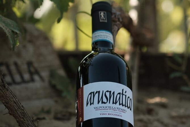 Amarone 2005 Wine Experience - Starting Point and Tour Logistics in Verona