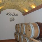 Amarone Della Valpolicella Wine Experience - Meet the Vogadori Family - Meeting at the Vogadori Winery in Negrar di Valpolicella