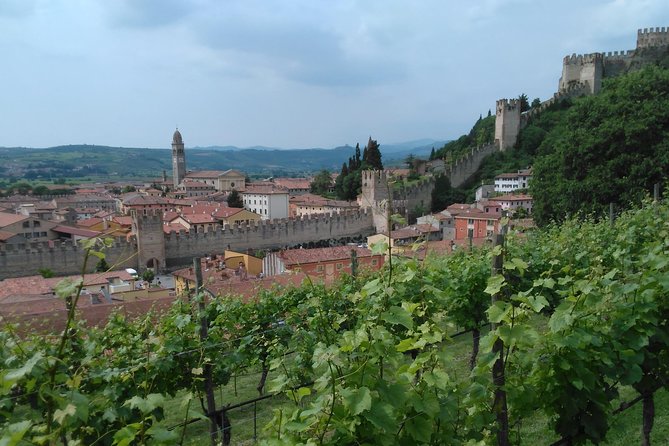 Amarone-Soave wine tour. Visit Verona. From Venice - Starting with Verona: A Medieval City Tour