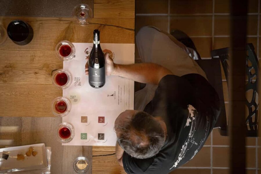 AMARONE: VERTICAL TASTING OF HISTORIC VINTAGES - Visiting Ca Besi Vineyards in Veneto