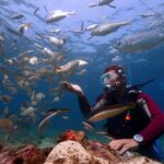 AMAZING KUSADASI SCUBA DIVING - Kusadasi’s Best Dive Sites and Scenic Views
