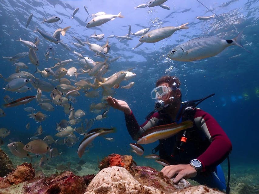 AMAZING KUSADASI SCUBA DIVING - Kusadasi’s Best Dive Sites and Scenic Views