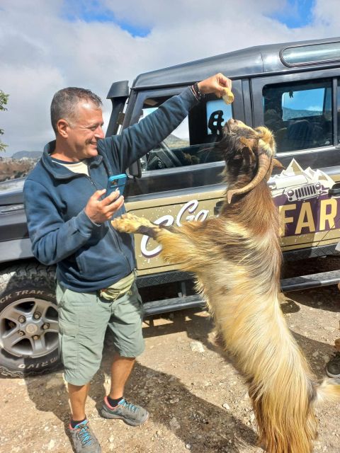 Amazing Sunset Safari Route with Dinner - Visiting a Traditional Olive Mill and Learning Olive Oil Production