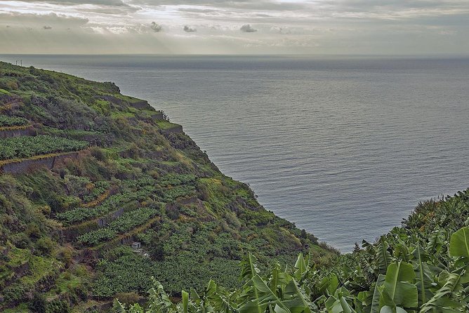 Amazing West - Jeep Safari Tour - Full Day - Shared Tour - Discover the UNESCO Laurisilva Forest at Posto Florestal Fanal