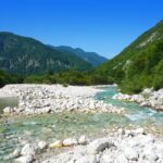 Amazing Willys Jeep Adventure - The Unique Experience of a Vintage Willys Jeep Ride