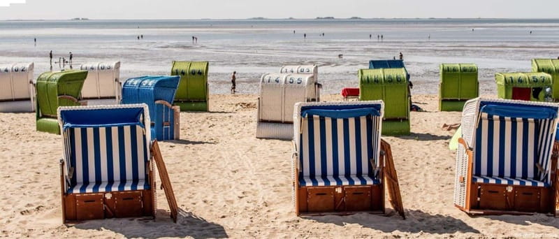 Amrum: Daytrip by boat to Föhr - Scenic Crossing on the MS Adler Rüm Hart