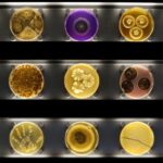 Amsterdam: ARTIS-Micropia Microbe Museum Entry Ticket - Interactive Experiences and Visuals at Micropia