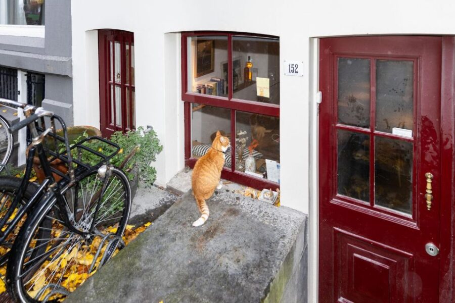 Amsterdam Central Walking Tour - Exploring the City’s Iconic Canal Houses and Tilted Homes