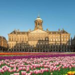 Amsterdam: City Highlights Tour with Canal Cruise - From the City Streets to Iconic Canal Views