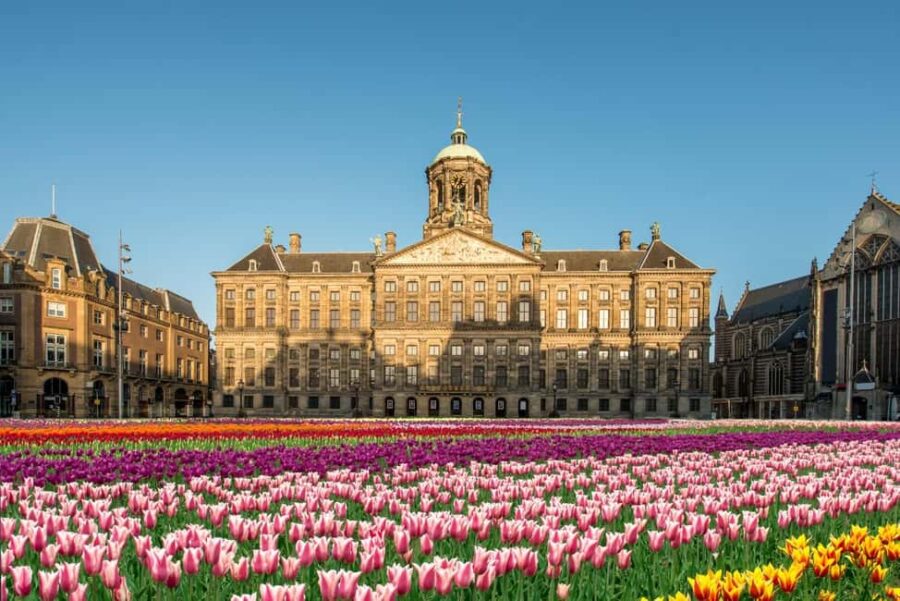 Amsterdam: City Highlights Tour with Canal Cruise - From the City Streets to Iconic Canal Views