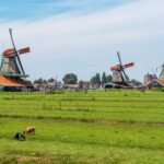 Amsterdam City Walking and Zaanse Schans Windmills Day Tour - Exploring Amsterdam’s City Center on Foot