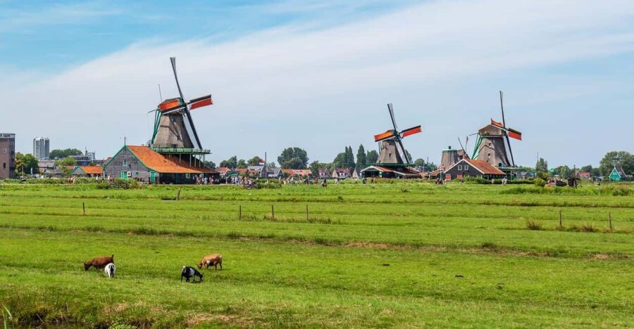 Amsterdam City Walking and Zaanse Schans Windmills Day Tour - Exploring Amsterdam’s City Center on Foot