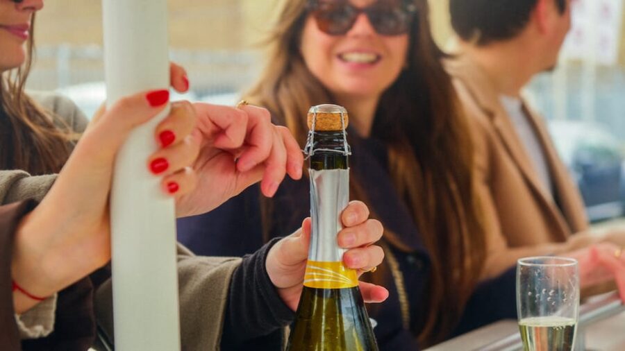 Amsterdam: Dutch Prosecco Party Bike - The Tour Starts at Rhoneweg 1 in Amsterdam