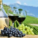 Amsterdam: Dutch Wine Tasting Experience - Accessibility and Booking Flexibility