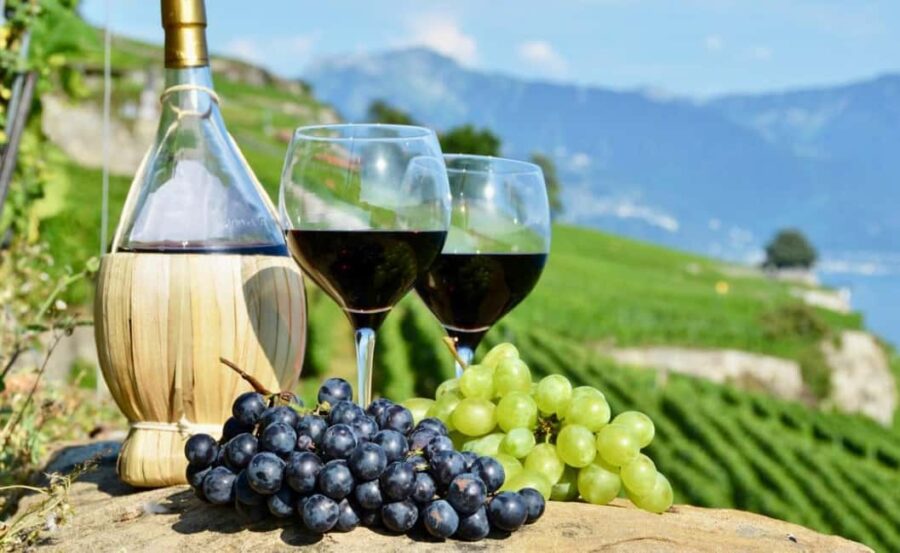 Amsterdam: Dutch Wine Tasting Experience - Accessibility and Booking Flexibility