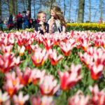 Amsterdam: Flower Parade Grandstand + Keukenhof Gardens Tour - The Parade’s Floats and Floral Decorations
