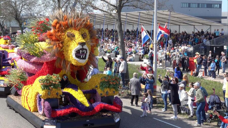 Amsterdam: Flower Parade Grandstand Seat and Keukenhof Tour - Experience the Worlds Largest Flower Parade