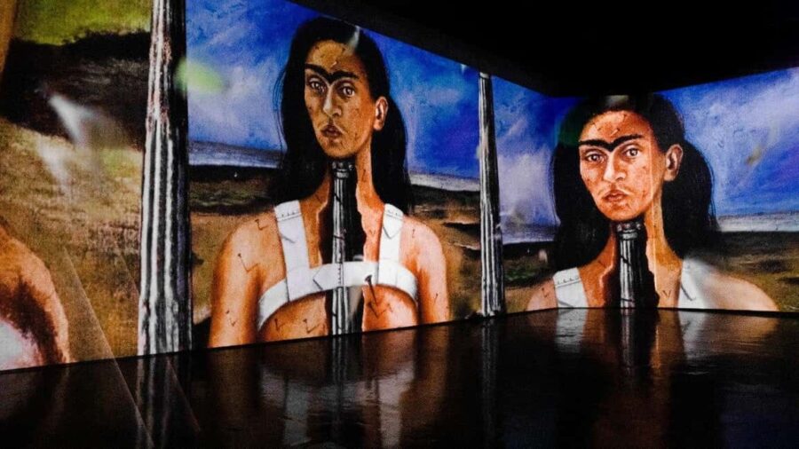 Amsterdam: Frida Kahlo Immersive & Photo Exhibition - The Artistic and Personal Highlights