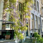 Amsterdam: Inner City Bike Tour German or English (Private) - The Tour Starts at the Sea Palace Restaurant Close to Central Station