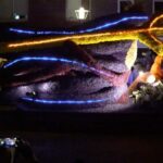 Amsterdam: Keukenhof and Illuminated Flower Parade Tour - Summary: A Balanced Mix of Nature and Nighttime Spectacle