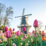 Amsterdam: Keukenhof and Zaanse Schans Live Guided Day Tour - Scenic Drive to Keukenhof Gardens