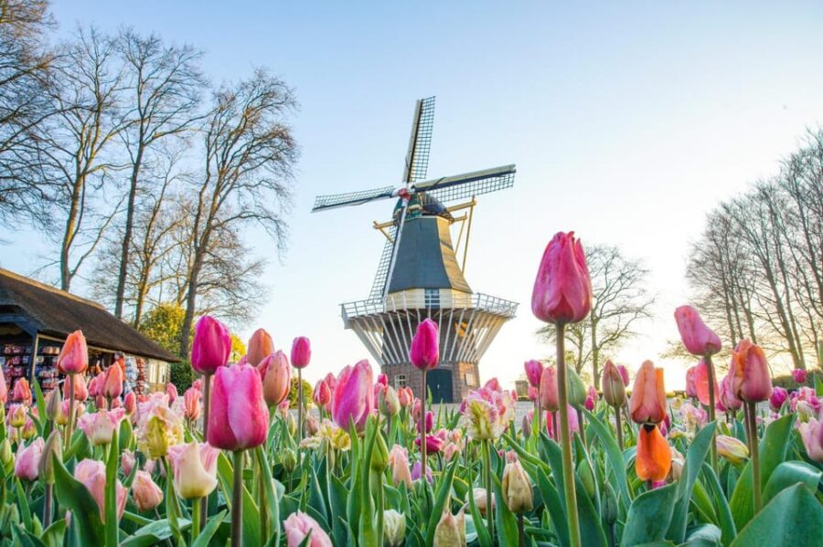 Amsterdam: Keukenhof and Zaanse Schans Live Guided Day Tour - Scenic Drive to Keukenhof Gardens