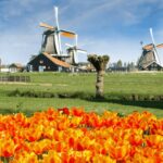 Amsterdam: Keukenhof and Zaanse Schans Windmills Day Trip - Key Points
