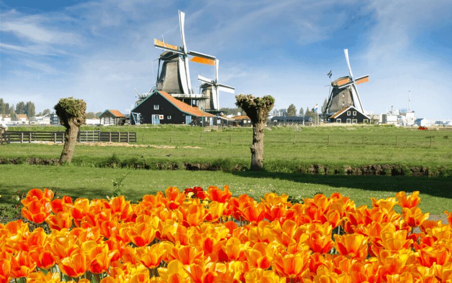 Amsterdam: Keukenhof and Zaanse Schans Windmills Day Trip - Key Points
