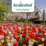 Amsterdam: Keukenhof Entry & Shuttlebus with Flexible Return - The Luxury Coach Service and Group Experience