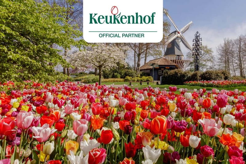 Amsterdam: Keukenhof Entry & Shuttlebus with Flexible Return - The Luxury Coach Service and Group Experience