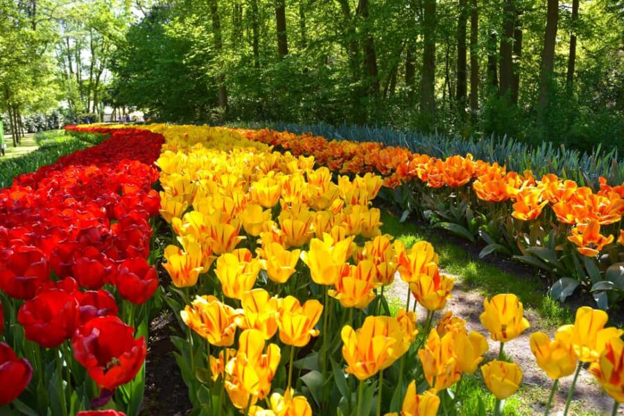 Amsterdam: Keukenhof Gardens Half Day Guided Tour - Highlights of the Keukenhof Guided Tour