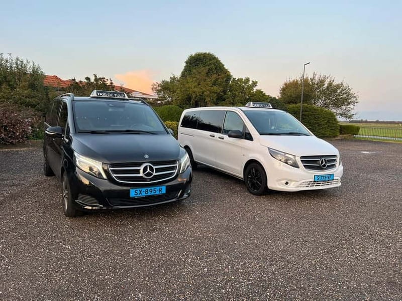 Amsterdam: Private Keukenhof and Free Tulip Tour - Keukenhof Gardens: 5 Hours of Floral Beauty