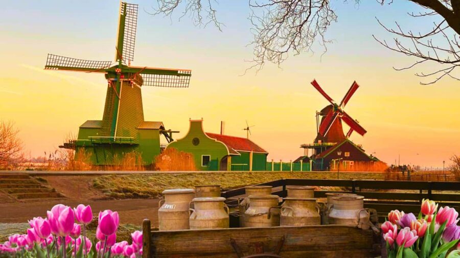 Amsterdam : Private Tour Zaanse Schans - Tasting and Learning at the Cheese Farm