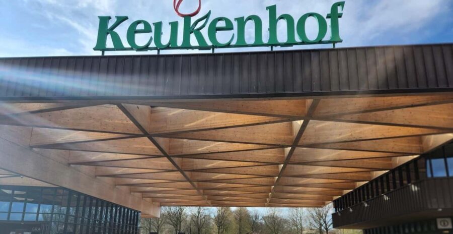 Amsterdam to Keukenhof & Zaanseschans: Private Tour - Discover Zaanse Schans’ Traditional Windmills and Crafts