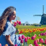 Amsterdam: Tulip Fields Day Tour with Lunch and a Windmill Visit - Exploring the UNESCO Beemster Polder and Beemster Reclaimed Land