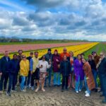 Amsterdam: Tulip Fields Day Tour with Lunch & Windmill - Exploring the Tulip Fields: A Visual Feast