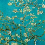 Amsterdam: Van Gogh Museum Ticket and City Canal Cruise - Scenic Journey Through Amsterdam’s Canals