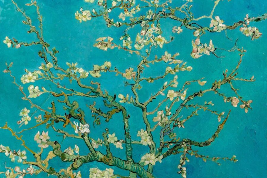 Amsterdam: Van Gogh Museum Ticket and City Canal Cruise - Scenic Journey Through Amsterdam’s Canals