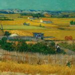 Amsterdam: Van Gogh Museum Ticket & Canal Cruise - Visiting the Van Gogh Museum: A Must for Art Lovers