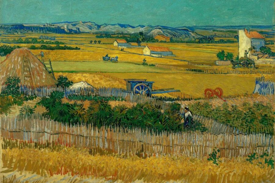 Amsterdam: Van Gogh Museum Ticket & Canal Cruise - Visiting the Van Gogh Museum: A Must for Art Lovers