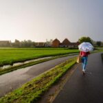 Amsterdam:Proposal Photoshoot & Picnic: Surprise Engagement. - Celebrate with Bubbles, Flowers, and a Handwritten Card