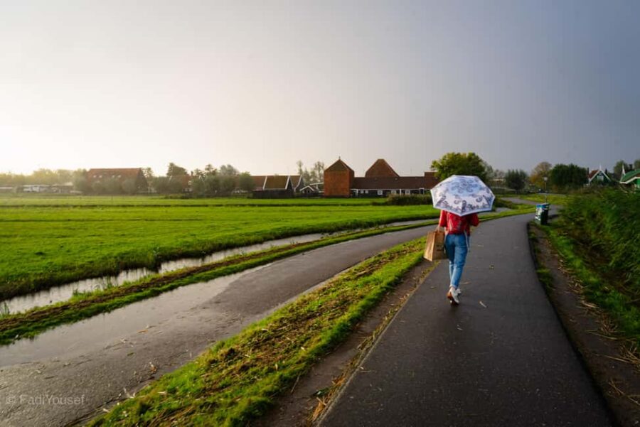 Amsterdam:Proposal Photoshoot & Picnic: Surprise Engagement. - Celebrate with Bubbles, Flowers, and a Handwritten Card